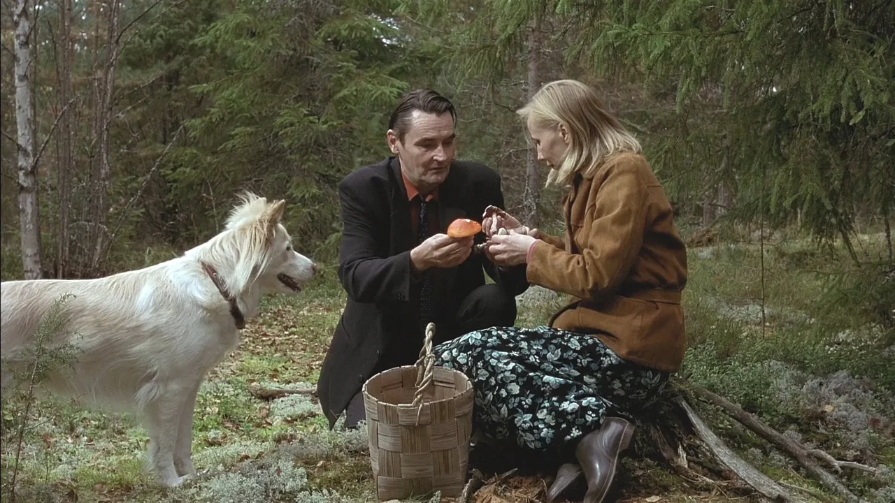 Фильм Человек без прошлого (2002)